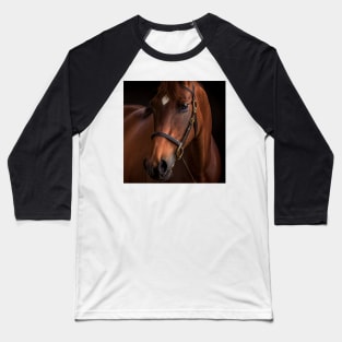 Horses Series Baseball T-Shirt